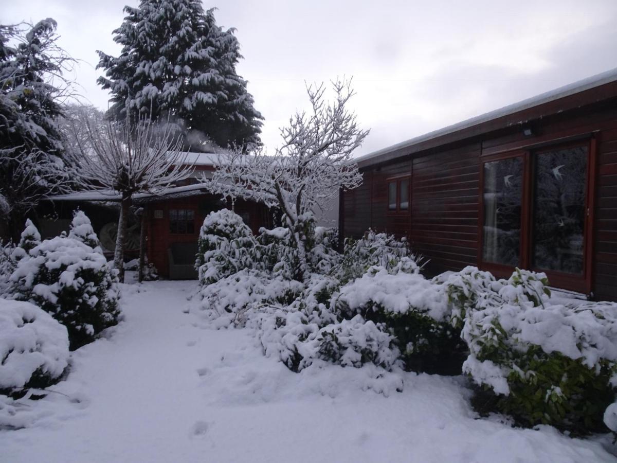 Veluwe Park Reewold Chalet Infinity Putten Exteriör bild